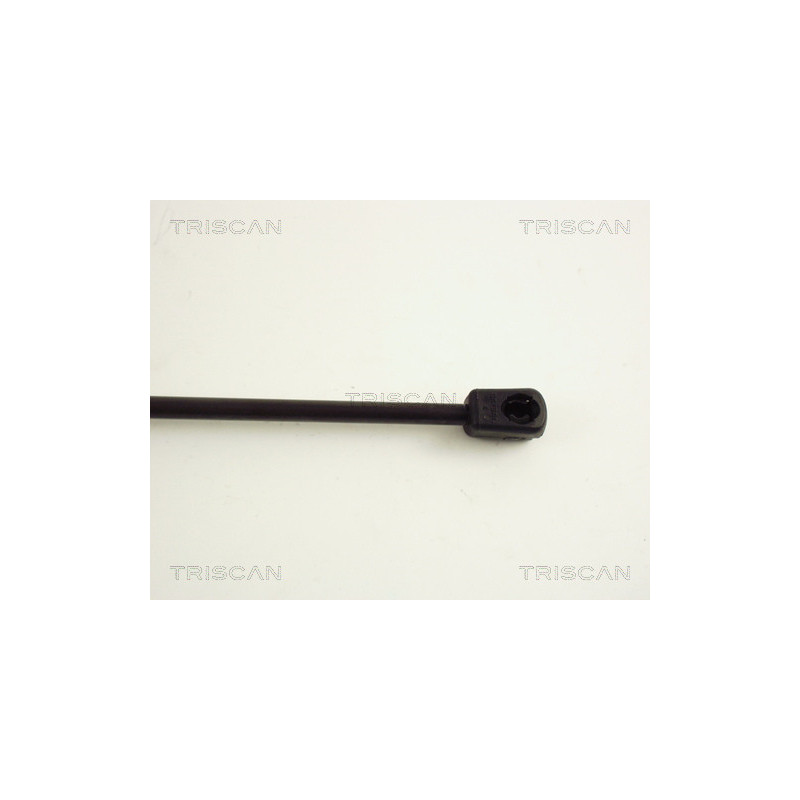 Vérin de coffre / hayon TRISCAN