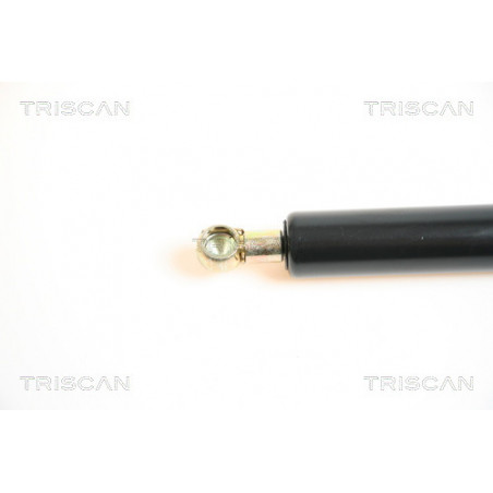 Vérin de coffre / hayon TRISCAN