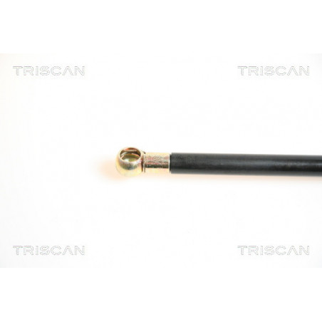 Vérin de coffre / hayon TRISCAN