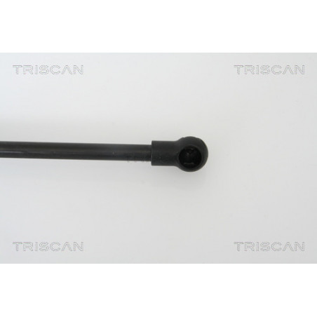 Vérin de coffre / hayon TRISCAN