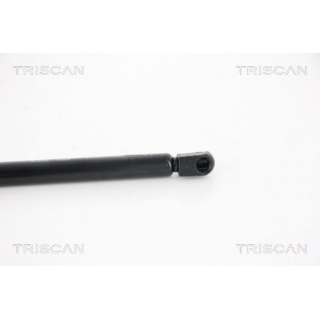 Vérin de coffre / hayon TRISCAN