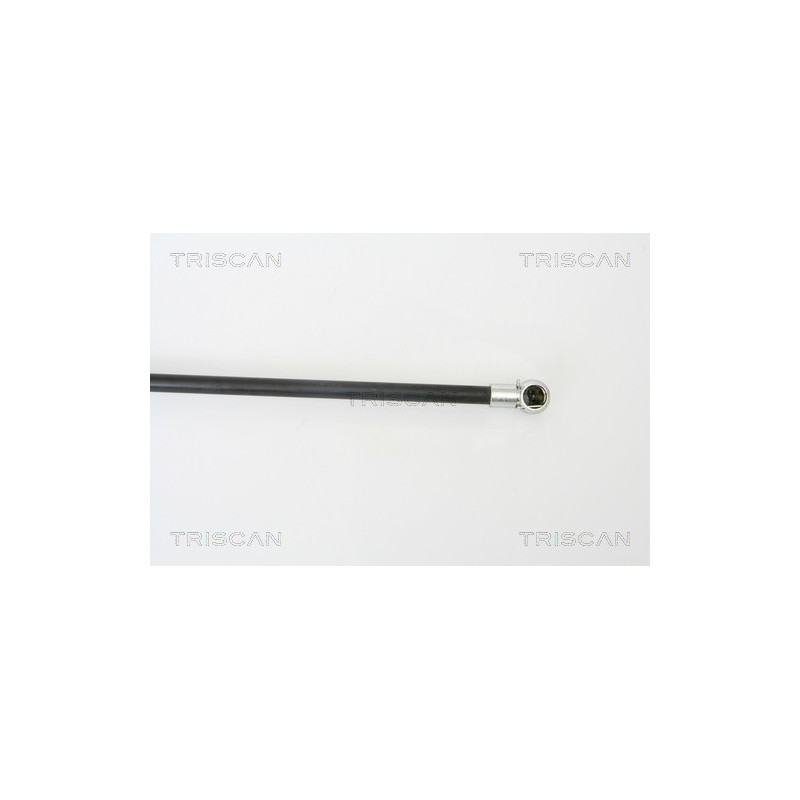 Vérin de coffre / hayon TRISCAN