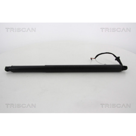 Vérin de coffre / hayon...