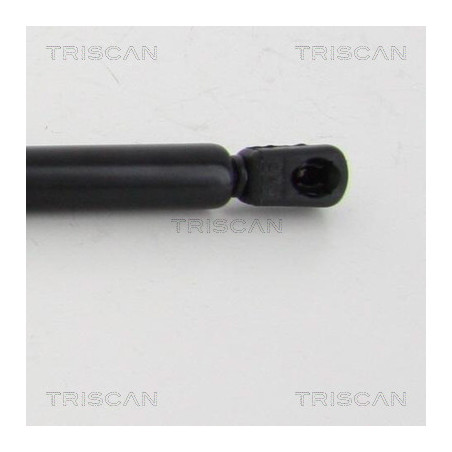 Vérin de coffre / hayon TRISCAN