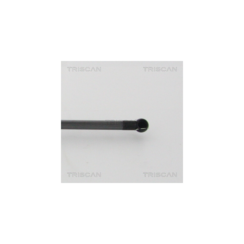 Vérin de coffre / hayon TRISCAN