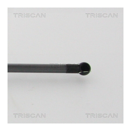 Vérin de coffre / hayon TRISCAN