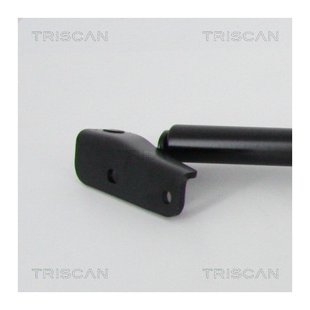 Vérin de coffre / hayon TRISCAN