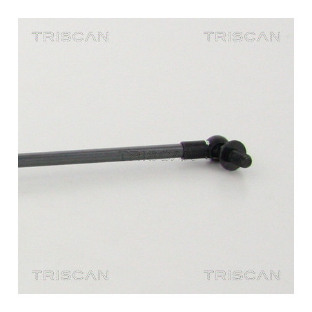 Vérin de coffre / hayon TRISCAN