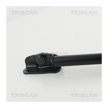 Vérin de coffre / hayon TRISCAN