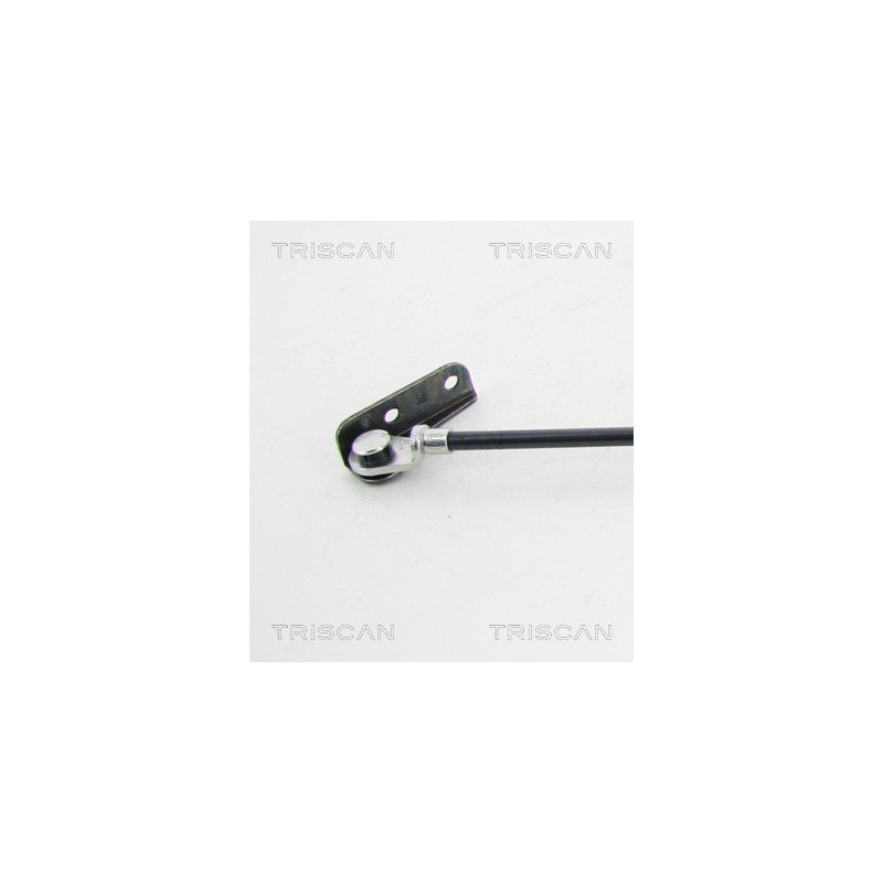 Vérin de coffre / hayon TRISCAN