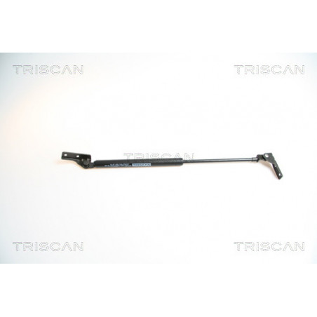 Vérin de coffre / hayon...