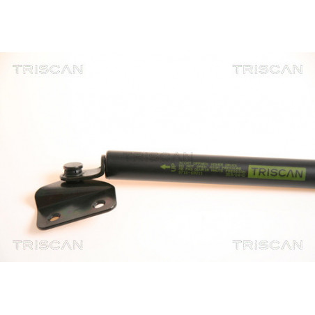 Vérin de coffre / hayon TRISCAN