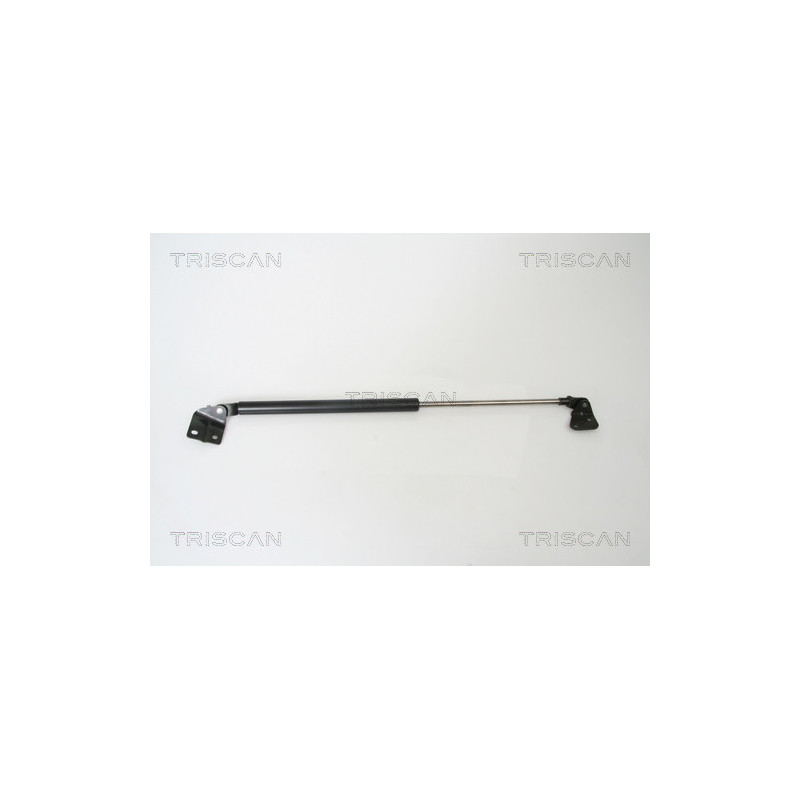 Vérin de coffre / hayon TRISCAN