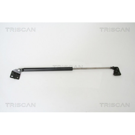 Vérin de coffre / hayon TRISCAN