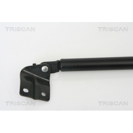 Vérin de coffre / hayon TRISCAN