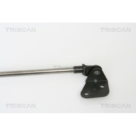 Vérin de coffre / hayon TRISCAN