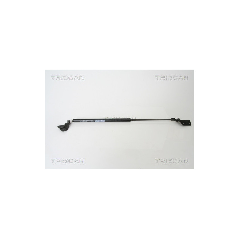 Vérin de coffre / hayon TRISCAN