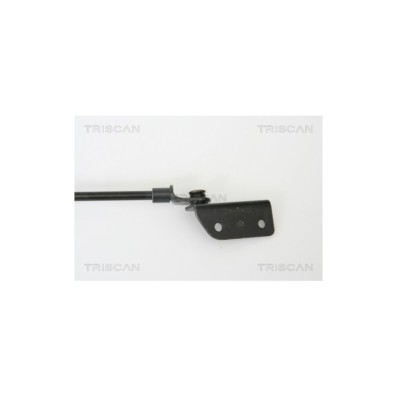 Vérin de coffre / hayon TRISCAN