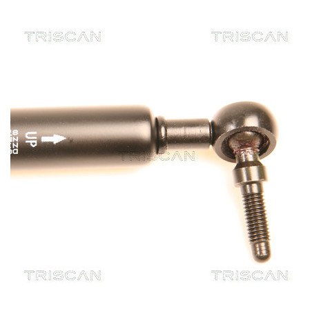 Vérin de coffre / hayon TRISCAN