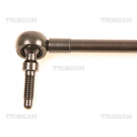 Vérin de coffre / hayon TRISCAN