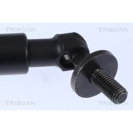 Vérin de coffre / hayon TRISCAN