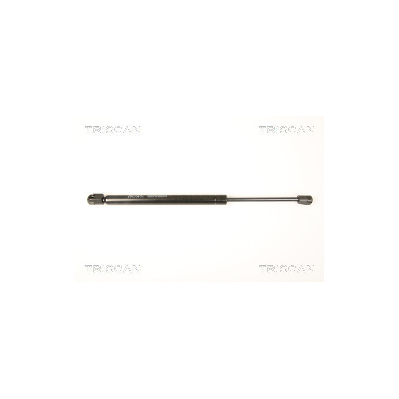 Vérin de vitre arrière TRISCAN