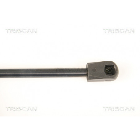 Vérin de vitre arrière TRISCAN