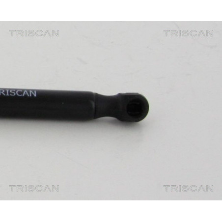 Vérin de coffre / hayon TRISCAN