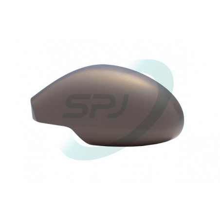 Revêtement (rétro extérieur) SPJ