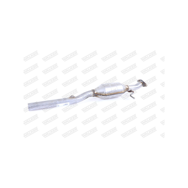 Catalyseur WALKER
