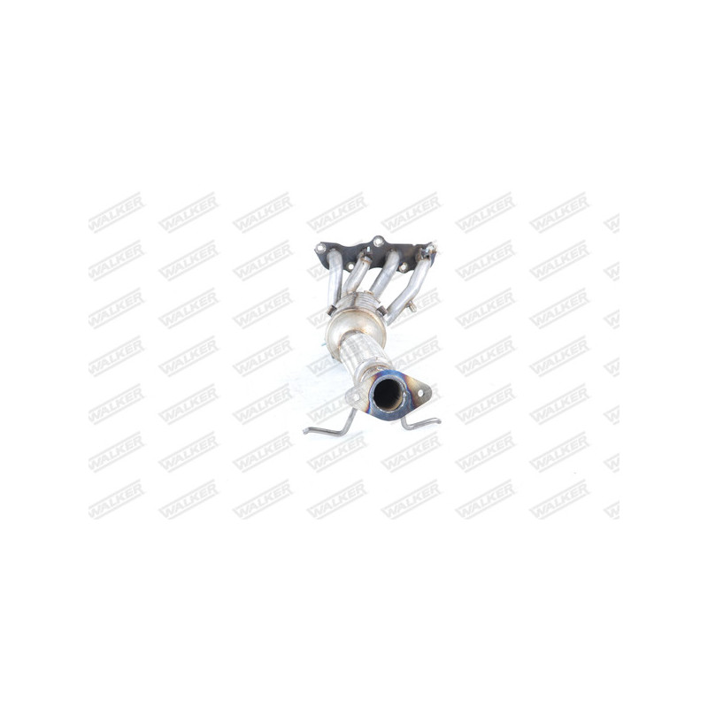 Catalyseur WALKER