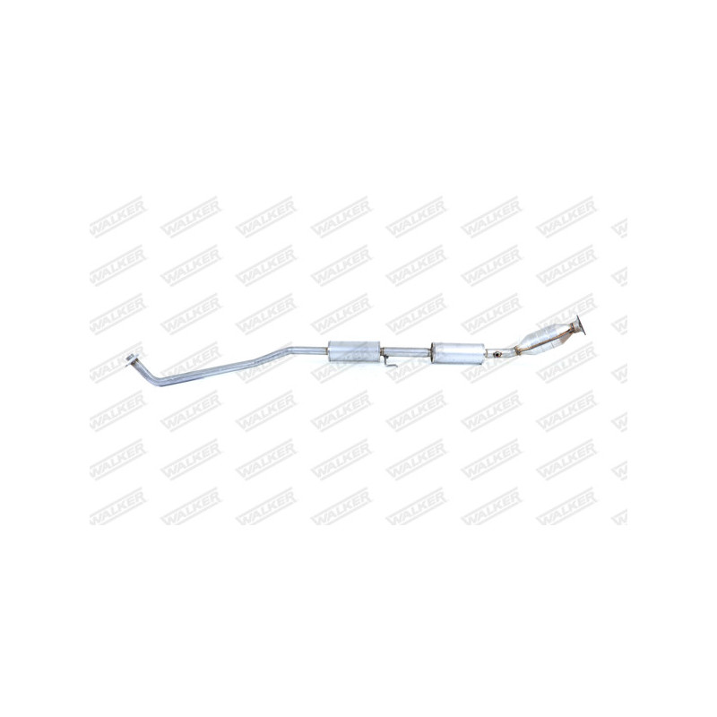 Catalyseur WALKER