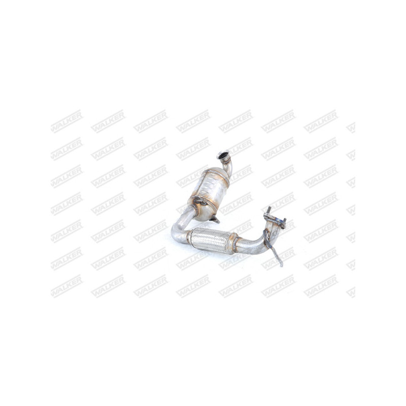 Catalyseur WALKER