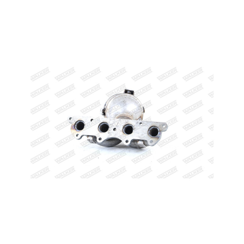 Précatalyseur WALKER