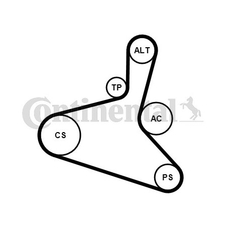 Kit de courroies d'accessoire CONTINENTAL CTAM