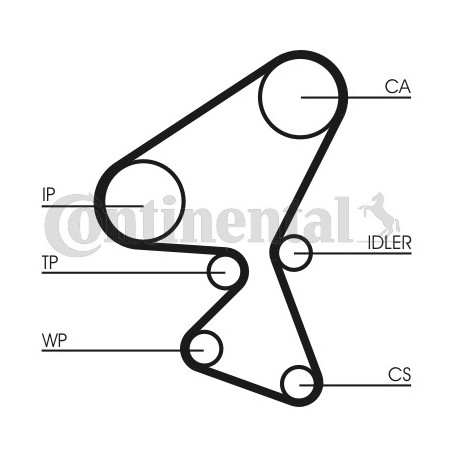 Kit de distribution + pompe à eau CONTINENTAL CTAM