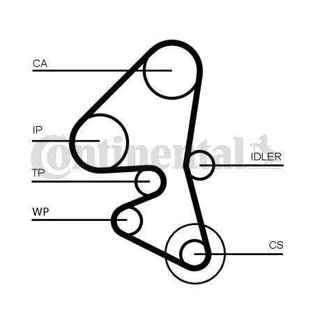 Courroie de distribution CONTINENTAL CTAM