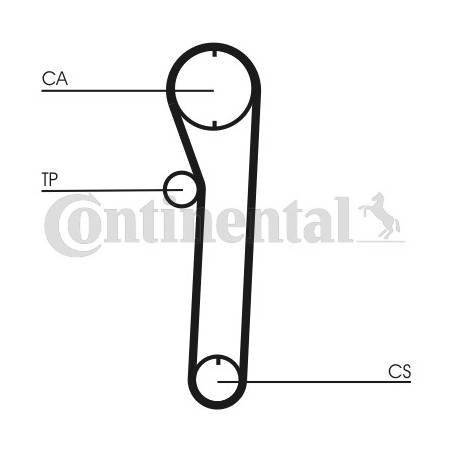 Courroie de distribution CONTINENTAL CTAM