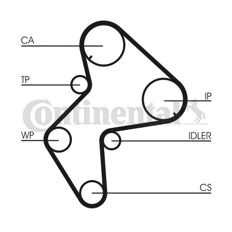 Courroie de distribution CONTINENTAL CTAM