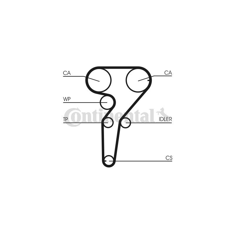 Kit de distribution + pompe à eau CONTINENTAL CTAM