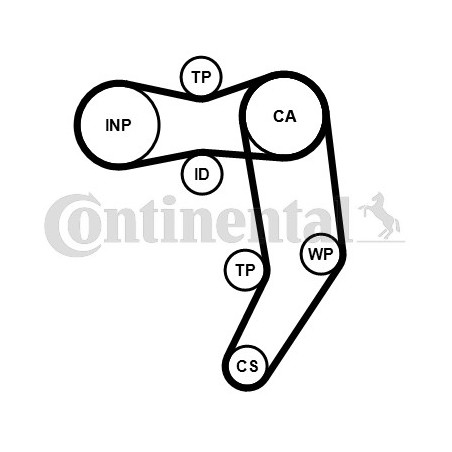Kit de distribution CONTINENTAL CTAM