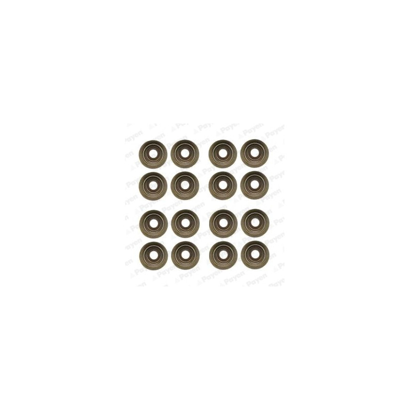 Jeu de joints d'étanchéité (tige de soupape) PAYEN