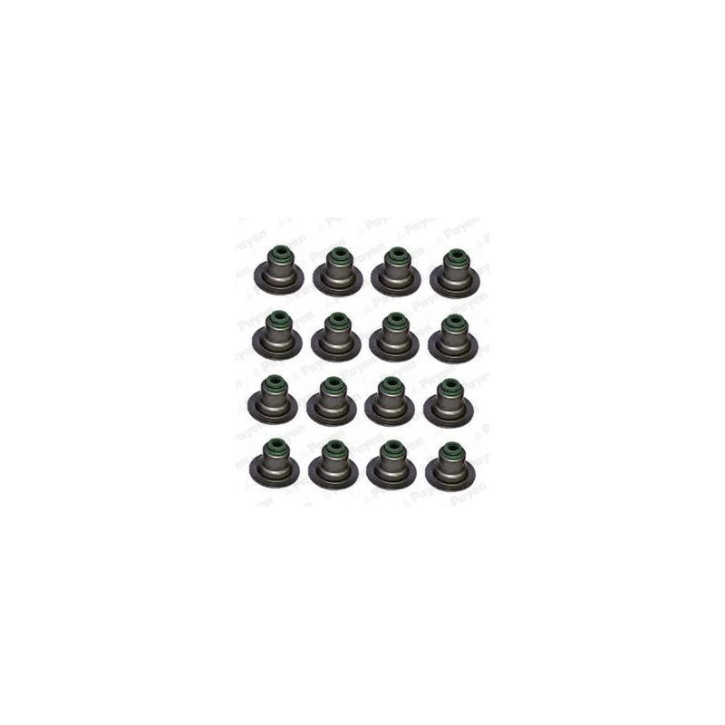 Jeu de joints d'étanchéité (tige de soupape) PAYEN