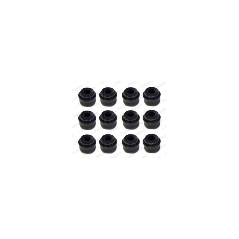 Jeu de joints d'étanchéité (tige de soupape) PAYEN