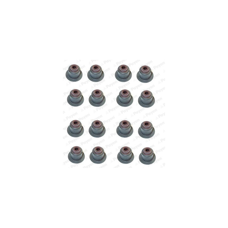 Jeu de joints d'étanchéité (tige de soupape) PAYEN