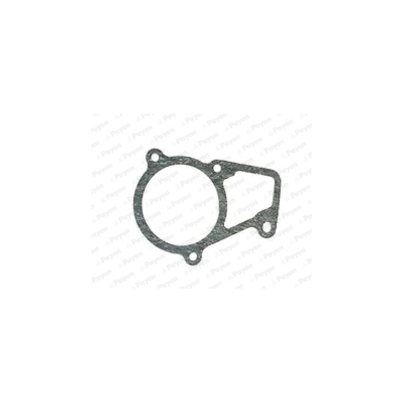Joint d'étanchéité du thermostat PAYEN
