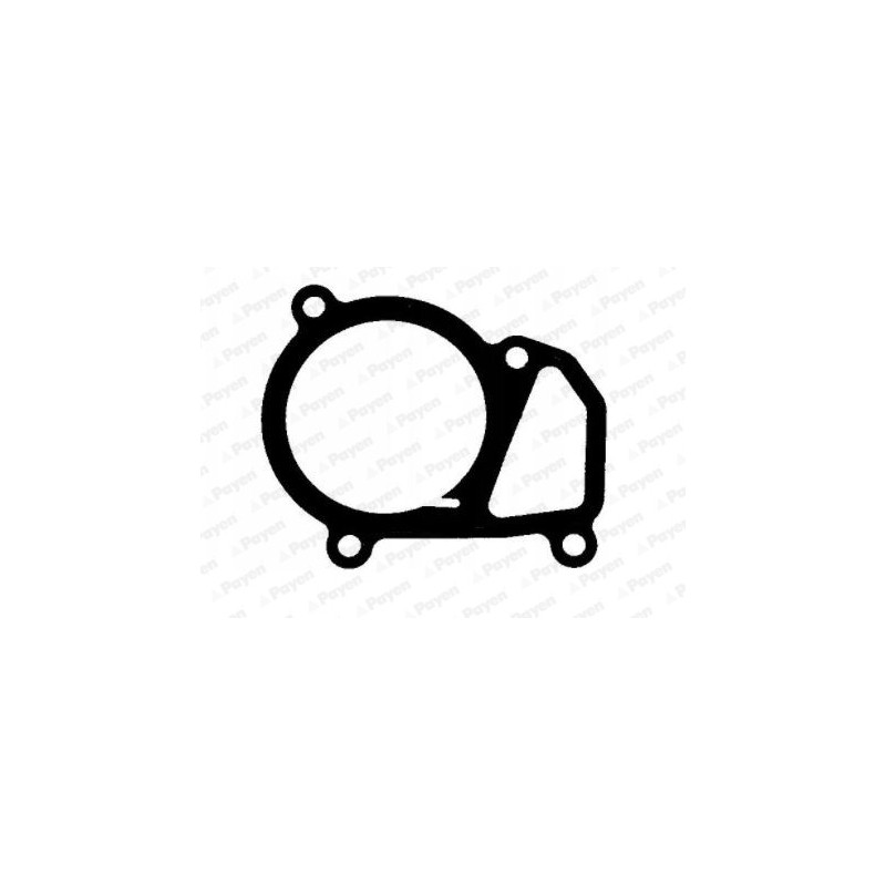 Joint d'étanchéité du thermostat PAYEN