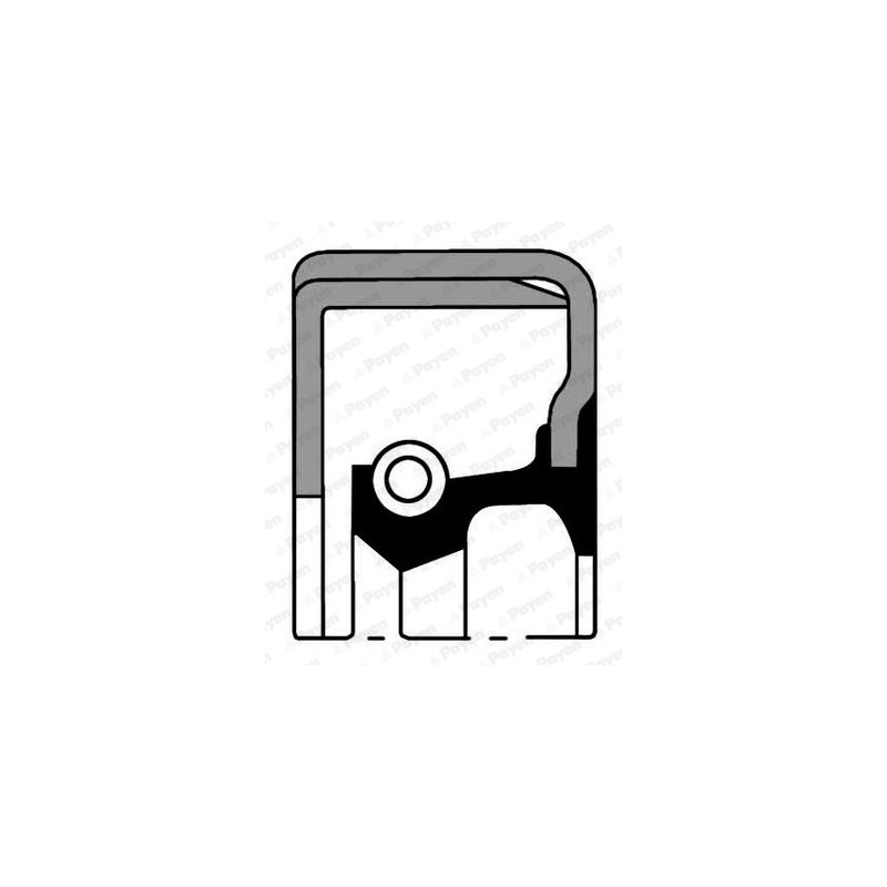 Bague d'étanchéité (moyeu de roue) PAYEN