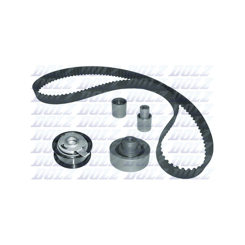 Kit de distribution DOLZ