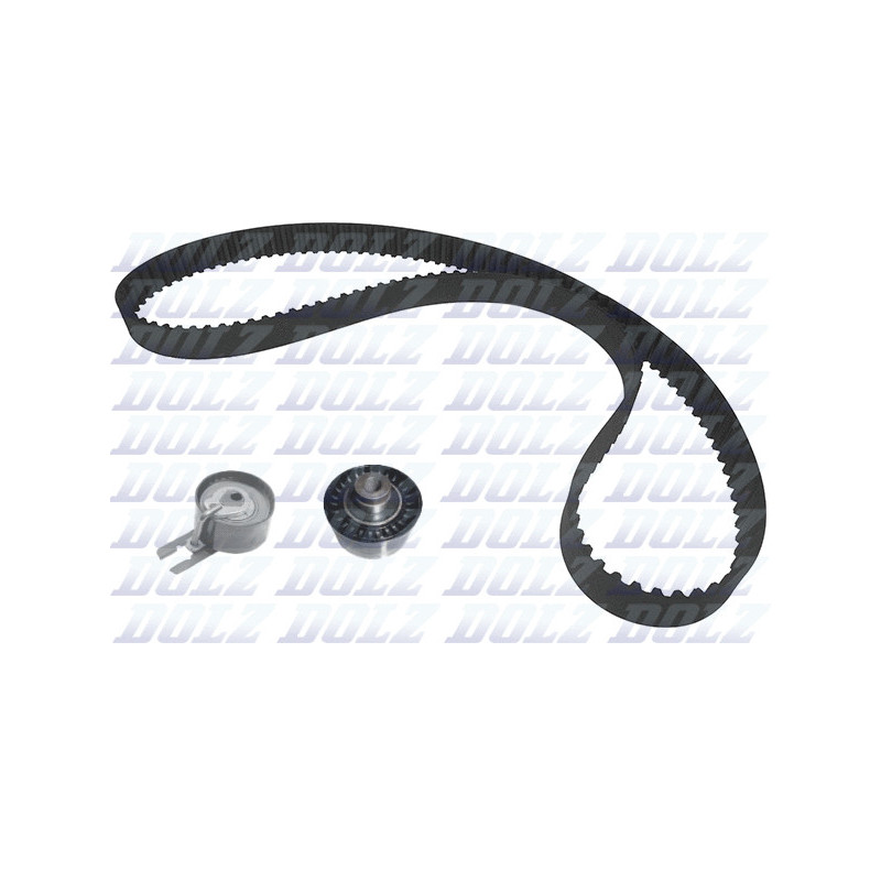 Kit de distribution DOLZ